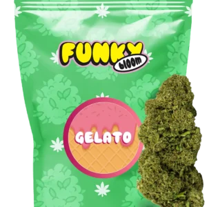 GELATO CBD 10g - FUNKY BLOOM